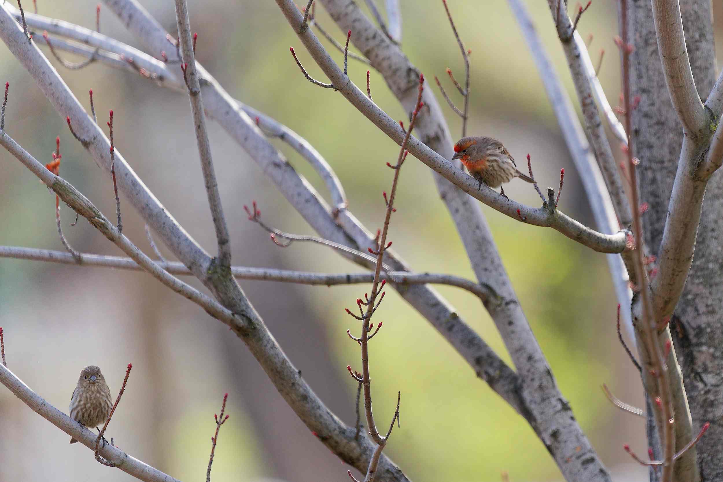 Featured photography by Joshua Powers - Image 3