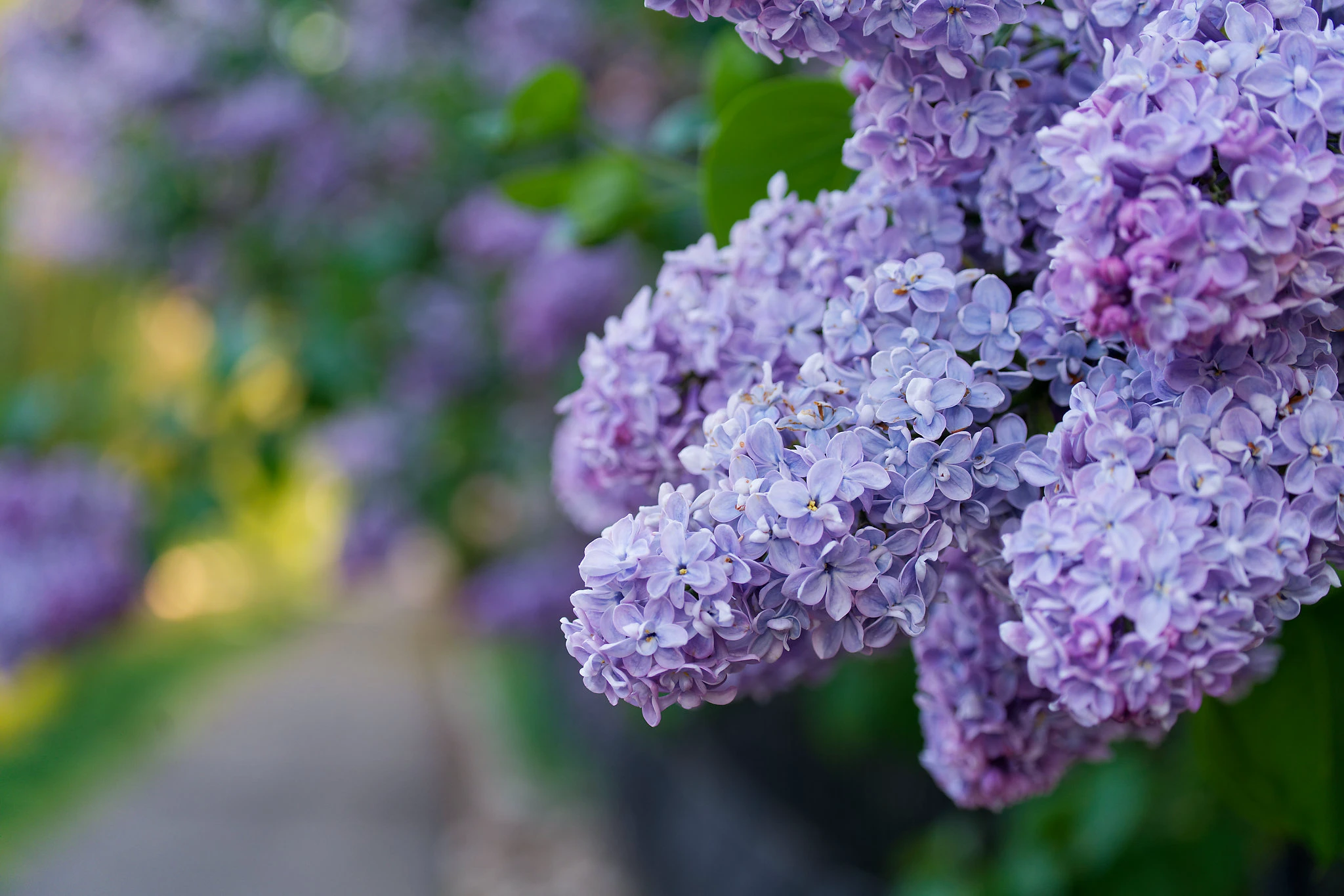 Featured photography by Joshua Powers - Image 4